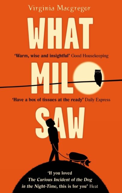 E-knjiga What Milo Saw Virginia Macgregor