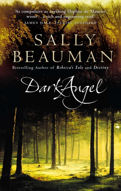 E-knjiga Dark Angel Sally Beauman
