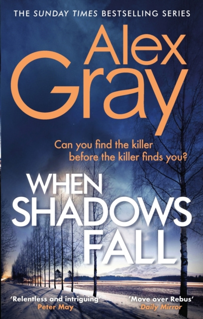 E-knjiga When Shadows Fall Alex Gray