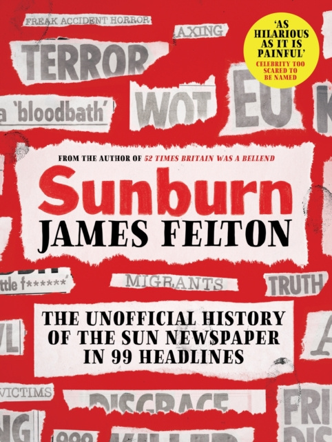 Libro elettronico Sunburn James Felton