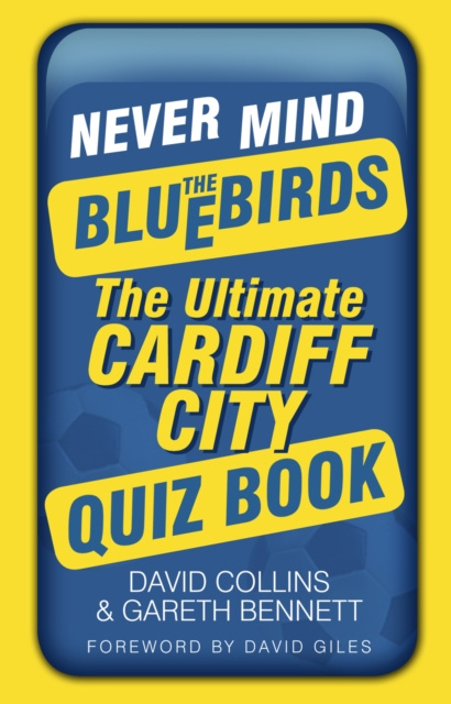 E-kniha Never Mind the Bluebirds David Collins