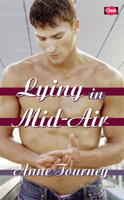E-book Lying in Mid-Air Anne Tourney