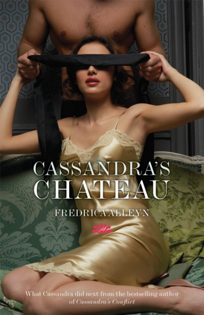 E-book Cassandra's Chateau Fredrica Alleyn