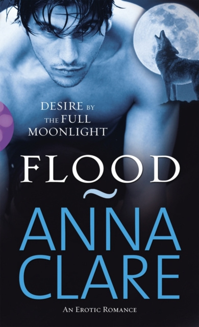 E-book Flood Anna Clare