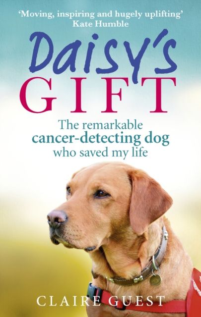E-book Daisy s Gift Claire Guest