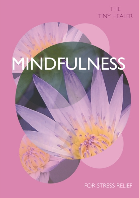 E-book Tiny Healer: Mindfulness Pyramid