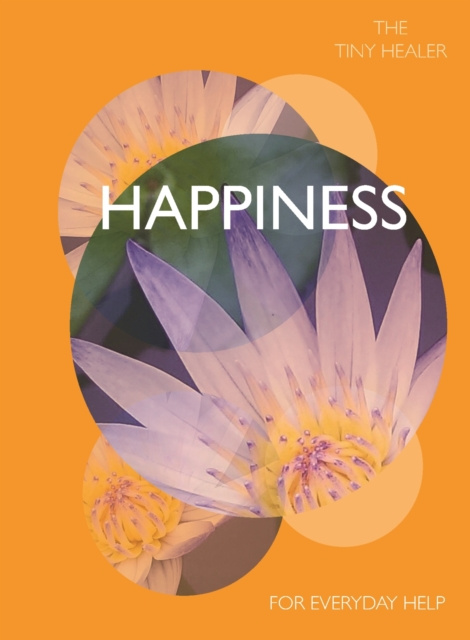 E-knjiga Tiny Healer: Happiness Madonna Gauding