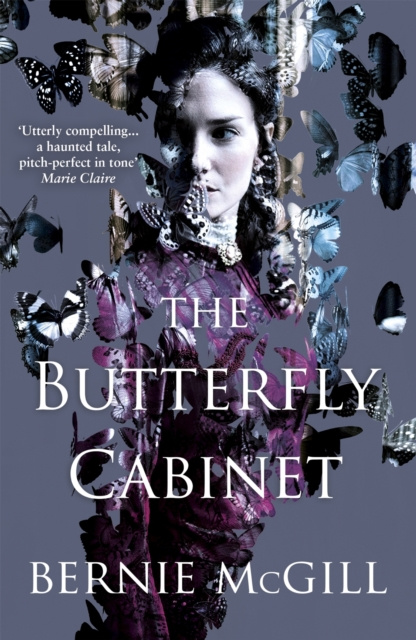 E-Book Butterfly Cabinet Bernie McGill