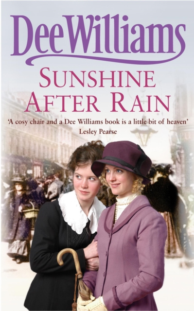 E-Book Sunshine After Rain Dee Williams