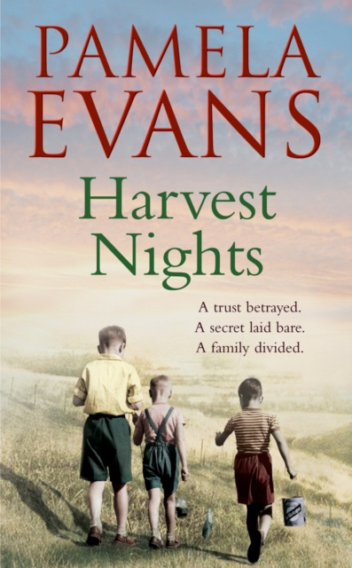 E-book Harvest Nights Pamela Evans