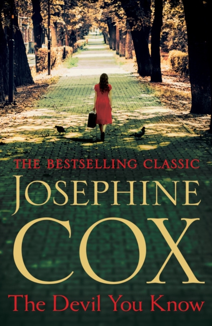 E-knjiga Devil You Know Josephine Cox