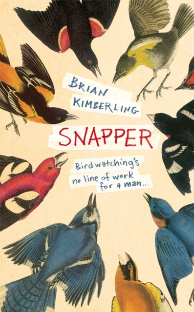 E-book Snapper Brian Kimberling