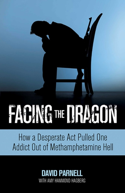 E-book Facing the Dragon David Parnell