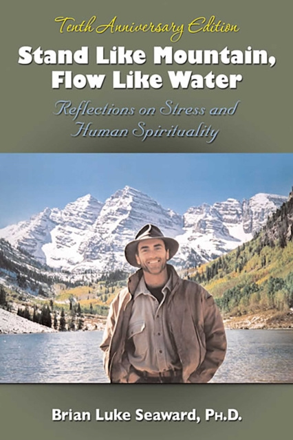 E-book Stand Like Mountain, Flow Like Water Brian Luke Seaward