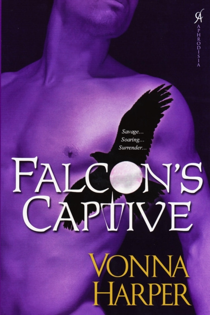 E-Book Falcon's Captive Vonna Harper
