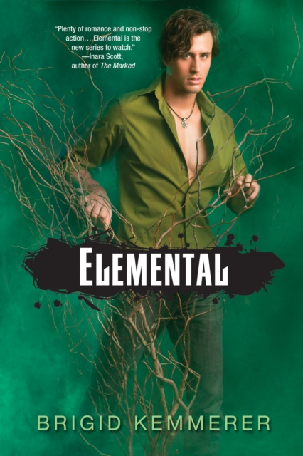 Livre numérique Elemental Brigid Kemmerer