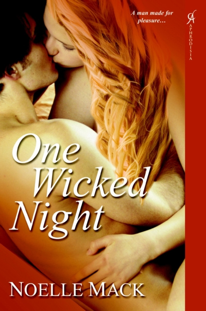 E-book One Wicked Night Noelle Mack