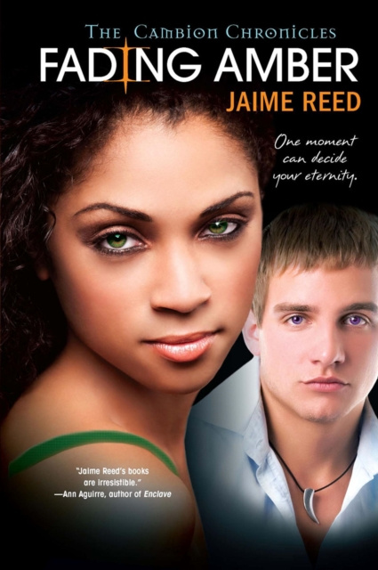E-kniha Fading Amber Jaime Reed