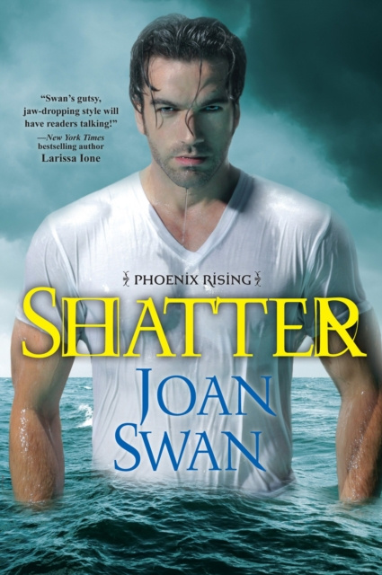 E-Book Shatter Joan Swan