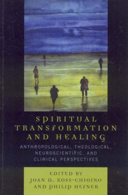 E-kniha Spiritual Transformation and Healing Joan D. Koss-Chioino