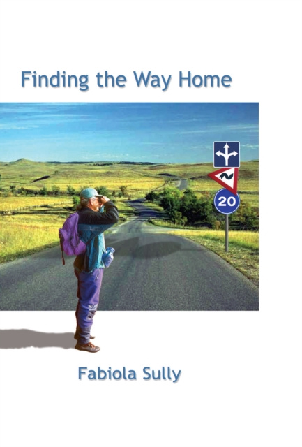 E-book Finding the Way Home Fabiola Sully