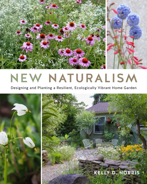 E-book New Naturalism Kelly D. Norris