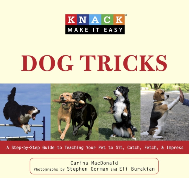 E-Book Knack Dog Tricks Carina MacDonald