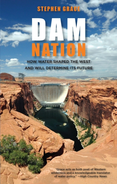 E-book Dam Nation Stephen Grace