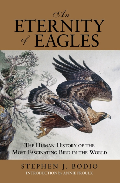 E-knjiga Eternity of Eagles Stephen J. Bodio