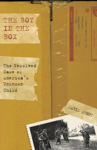 E-book Boy in the Box David Stout
