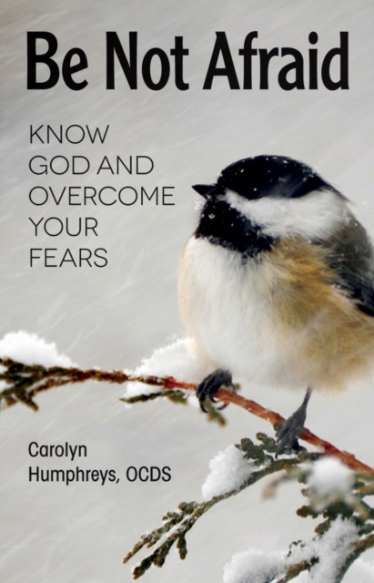 E-book Be Not Afraid Carolyn Humphreys
