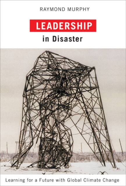 E-kniha Leadership in Disaster Raymond Murphy