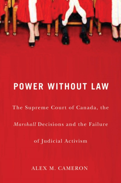 E-knjiga Power without Law Alex M. Cameron