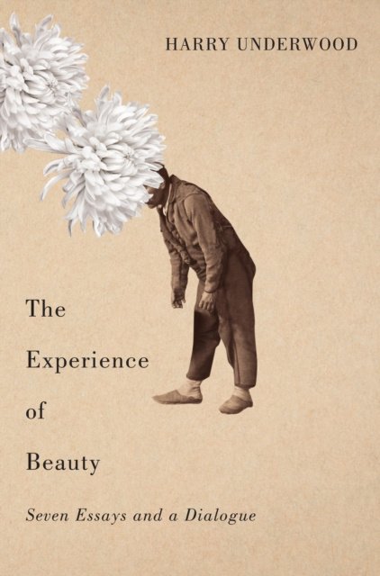 E-book Experience of Beauty Harry Underwood