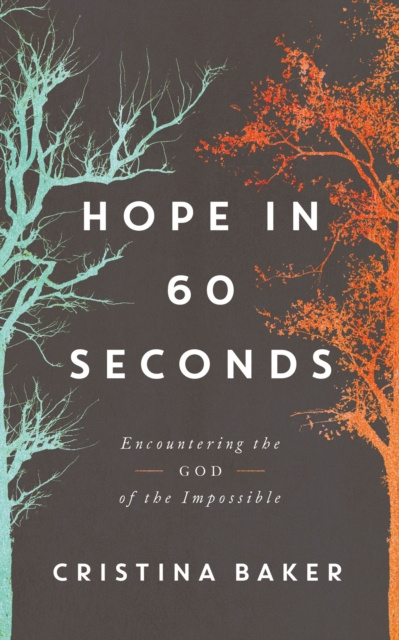 E-book Hope in 60 Seconds Cristina Baker