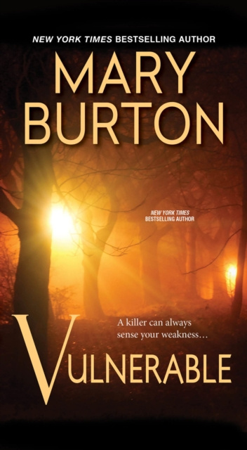 E-knjiga Vulnerable Mary Burton