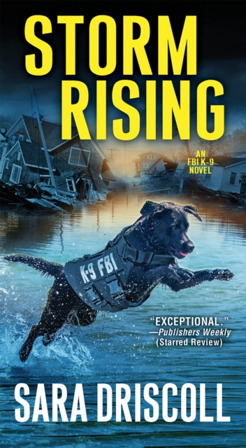 E-knjiga Storm Rising Sara Driscoll