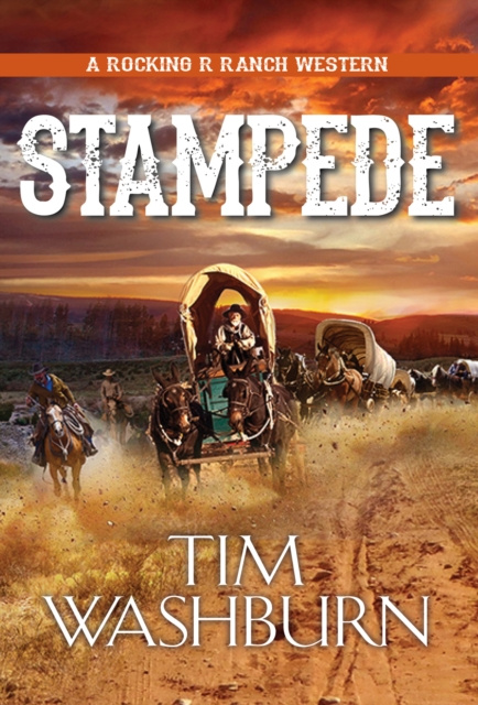 E-knjiga Stampede Tim Washburn