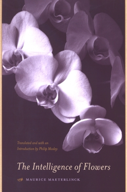 E-book Intelligence of Flowers Maurice Maeterlinck