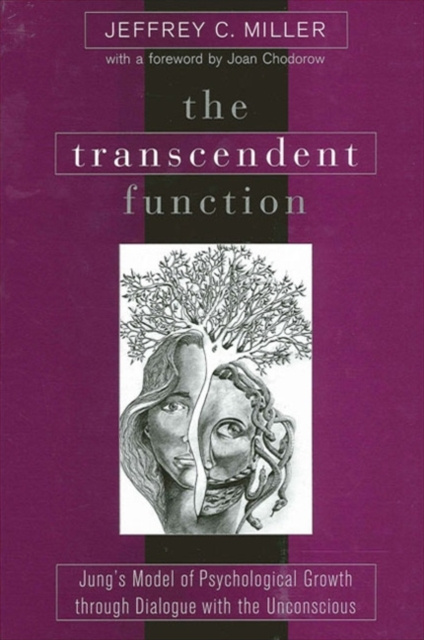 E-knjiga Transcendent Function Jeffrey C. Miller