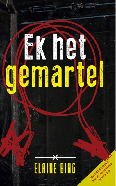 E-knjiga Ek het gemartel Elaine Bing