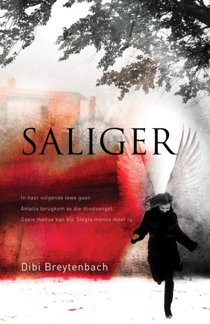 E-book Saliger Dibi Breytenbach
