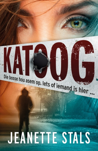 E-book Katoog Jeanette Stals