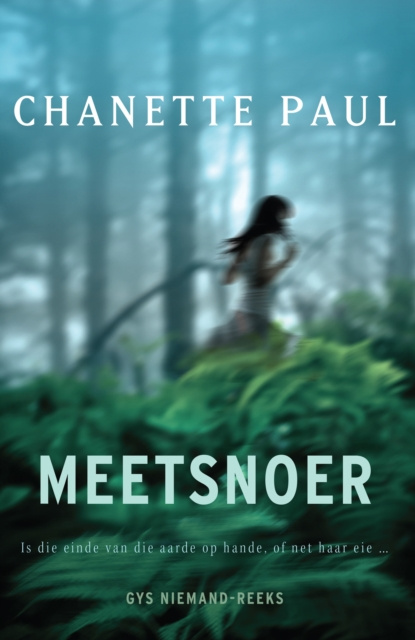E-knjiga Meetsnoer Chanette Paul