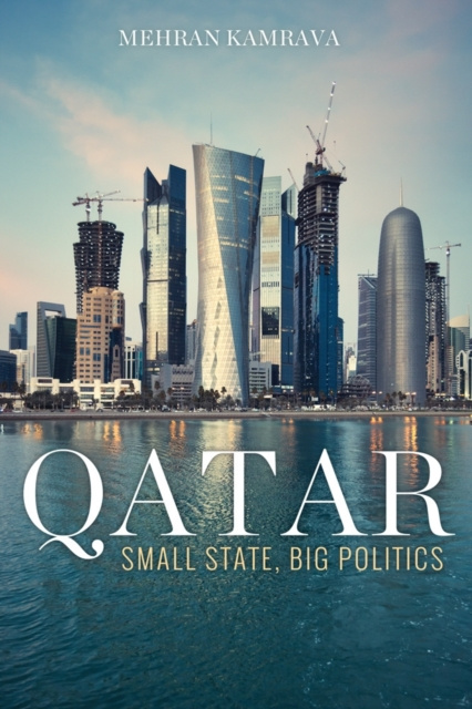 E-book Qatar Mehran Kamrava