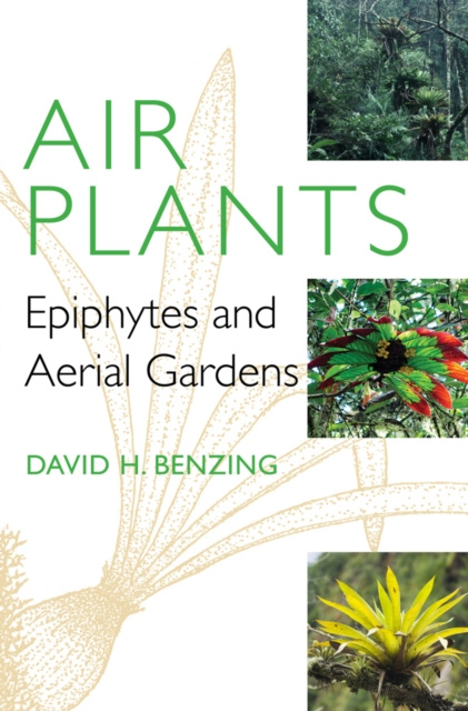 E-knjiga Air Plants David H. Benzing