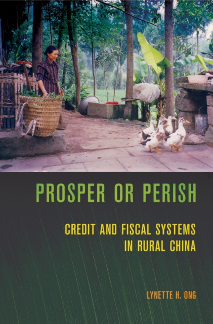 E-kniha Prosper or Perish Lynette H. Ong