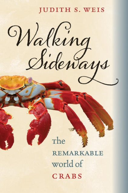 ebook Walking Sideways Judith S. Weis