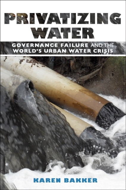 E-book Privatizing Water Karen Bakker