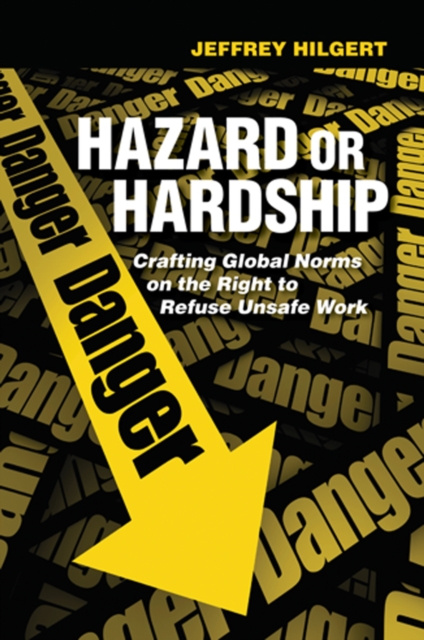 E-book Hazard or Hardship Jeffrey Hilgert